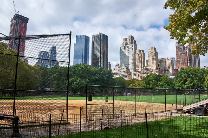 グラウンドと網